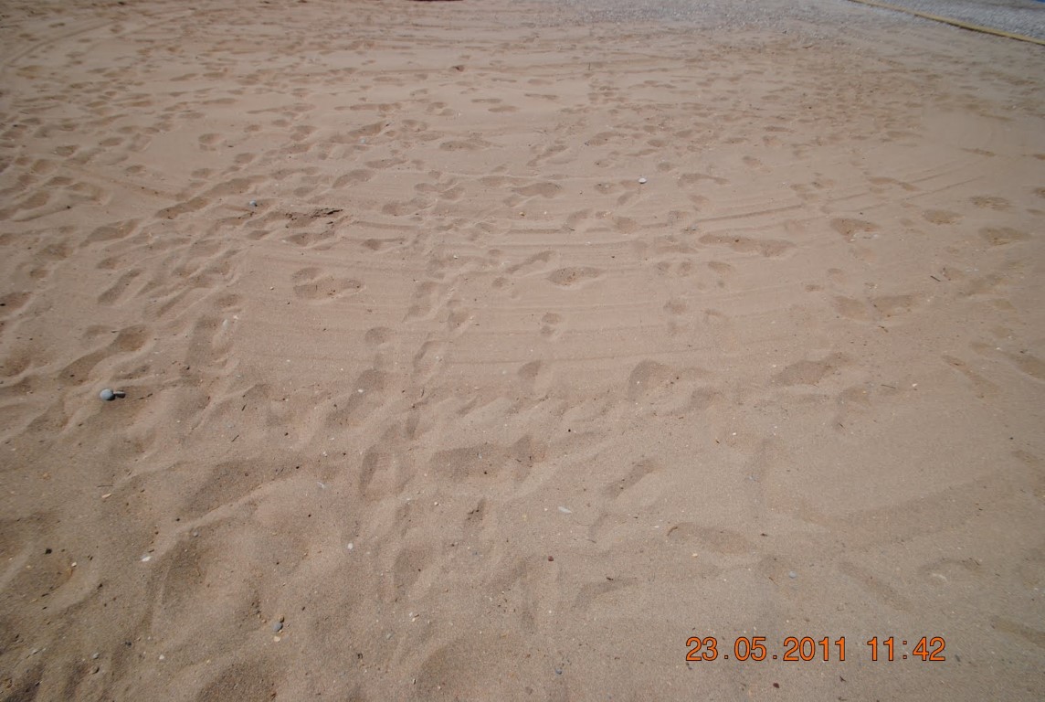 imagini hotel AMELIA BEACH RESORT SIDE